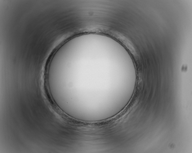 X0000103150578200808221131