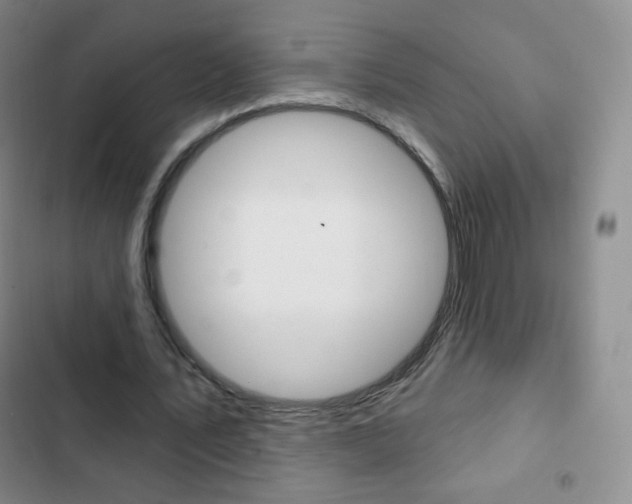 X0000103150579200808221131