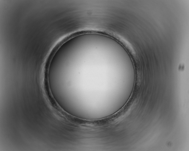 X0000103150580200808221131