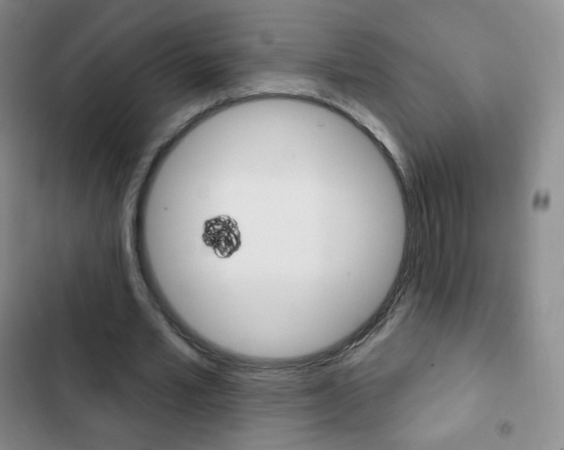 X0000103150581200808221131