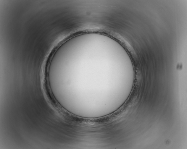 X0000103150582200808221131