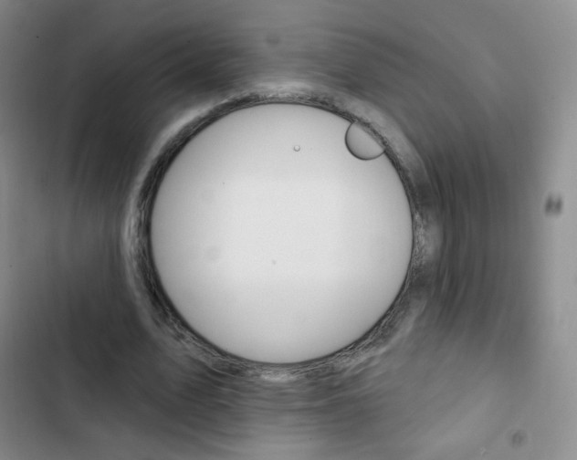 X0000103150583200808221131
