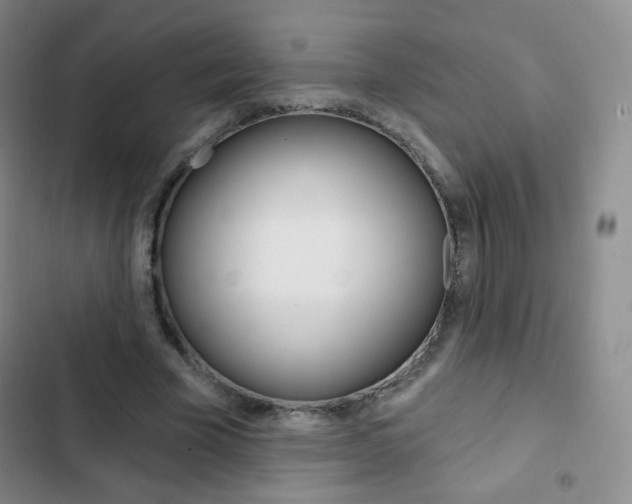 X0000103150585200808221131