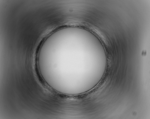 X0000103150586200808221131