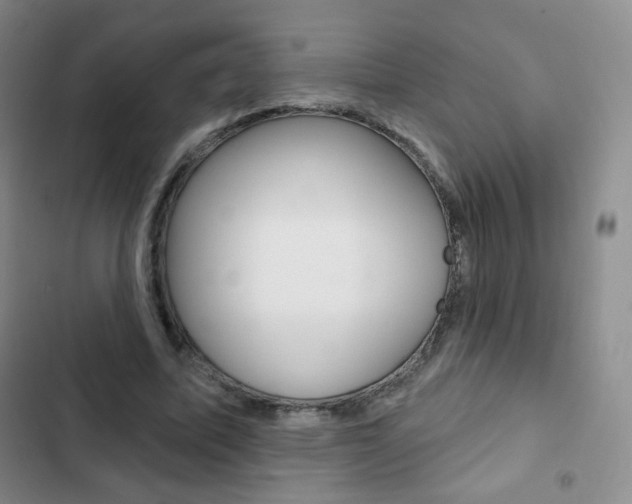 X0000103150587200808221131