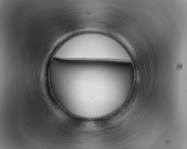 X0000103150588200808221130