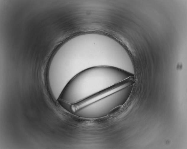 X0000103150589200808221130