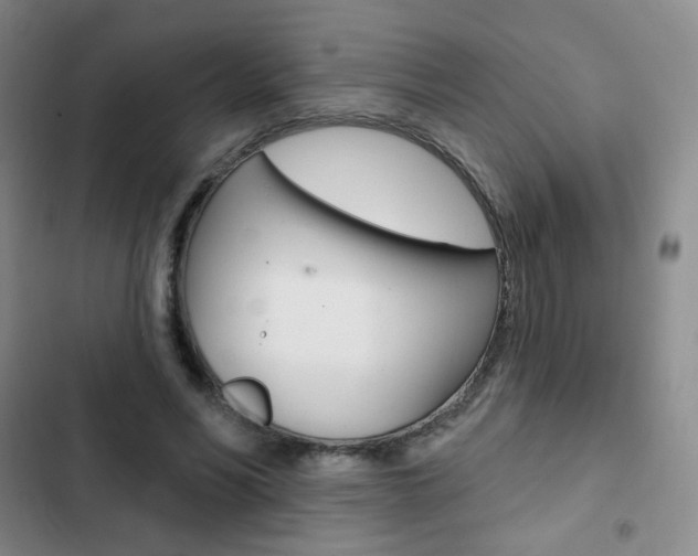 X0000103150590200808221130