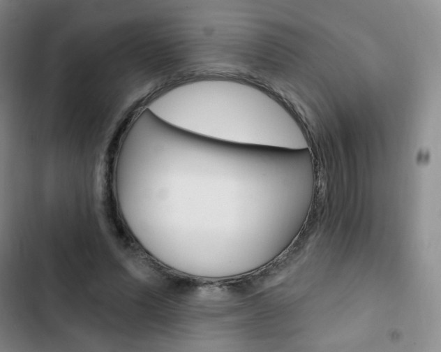X0000103150591200808221130