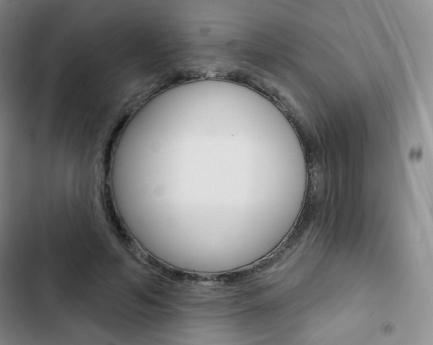 X0000103150594200808221130