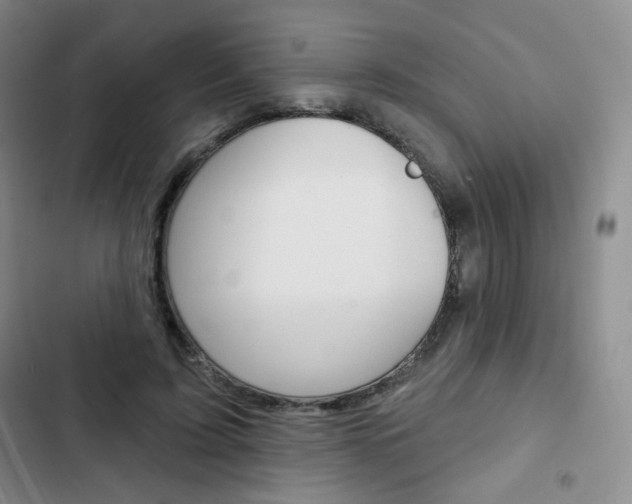 X0000103150595200808221130