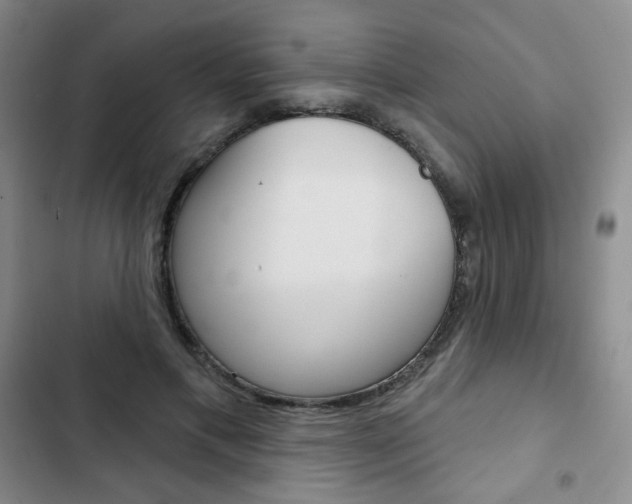 X0000103150597200808221130