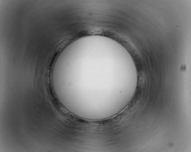 X0000103150598200808221130