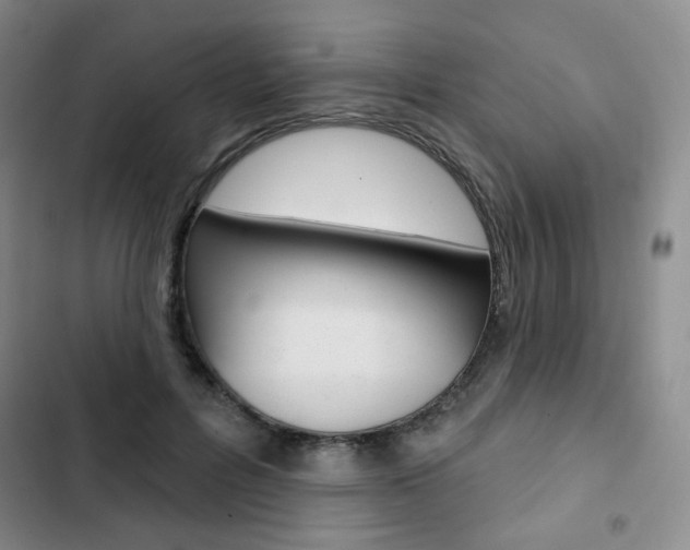 X0000103150600200808221130