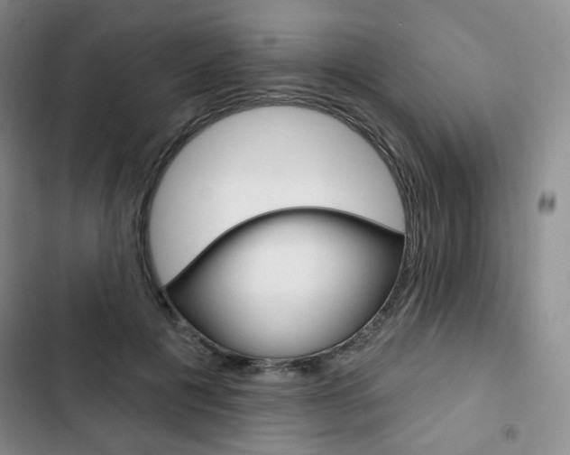X0000103150601200808221130