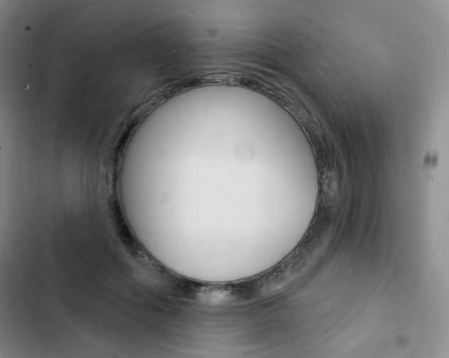 X0000103150602200808221130