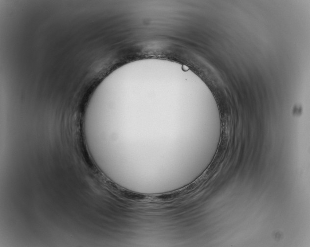 X0000103150603200808221130