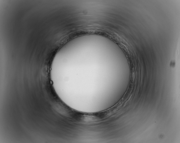 X0000103150605200808221130