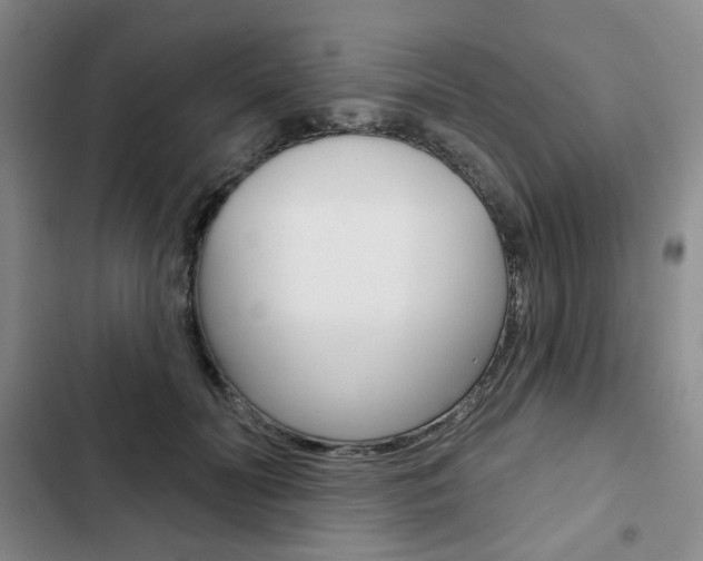 X0000103150606200808221130