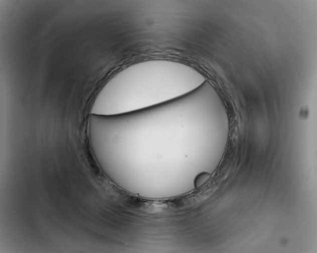 X0000103150607200808221130