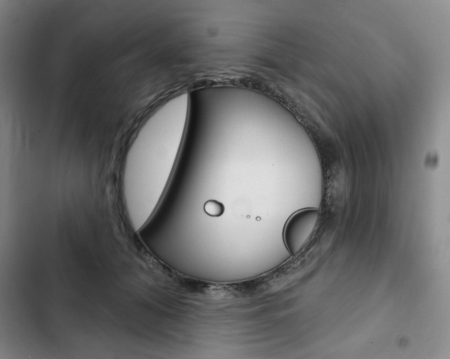 X0000103150608200808221130