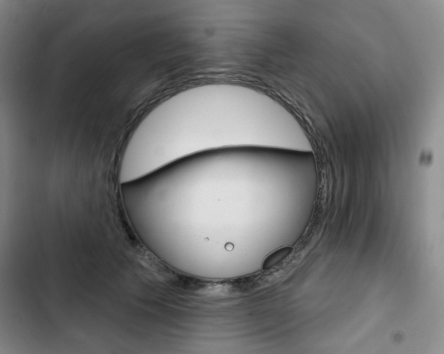 X0000103150609200808221130