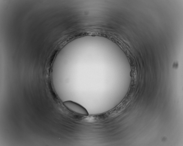 X0000103150611200808221130