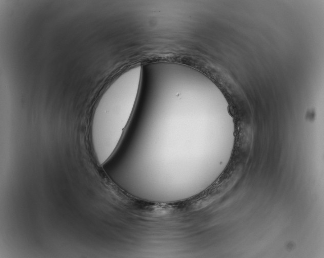 X0000103150612200808221130