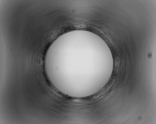 X0000103150614200808221130