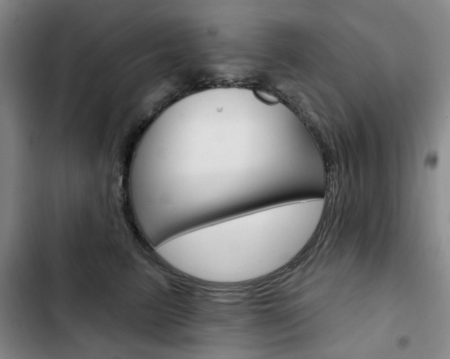 X0000103150615200808221130