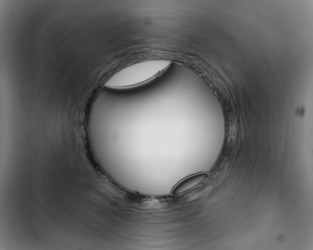 X0000103150616200808221130
