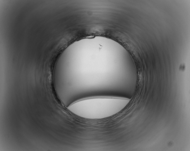 X0000103150617200808221130
