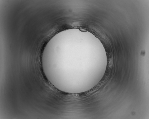 X0000103150618200808221130