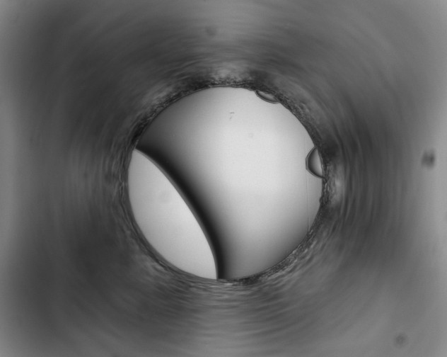 X0000103150619200808221130