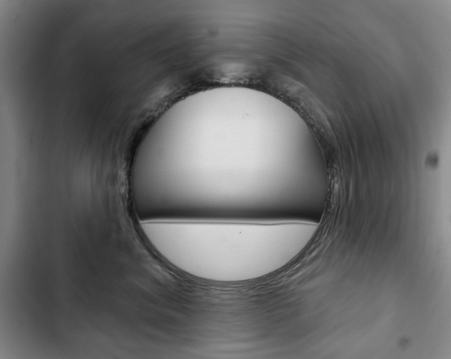 X0000103150620200808221130
