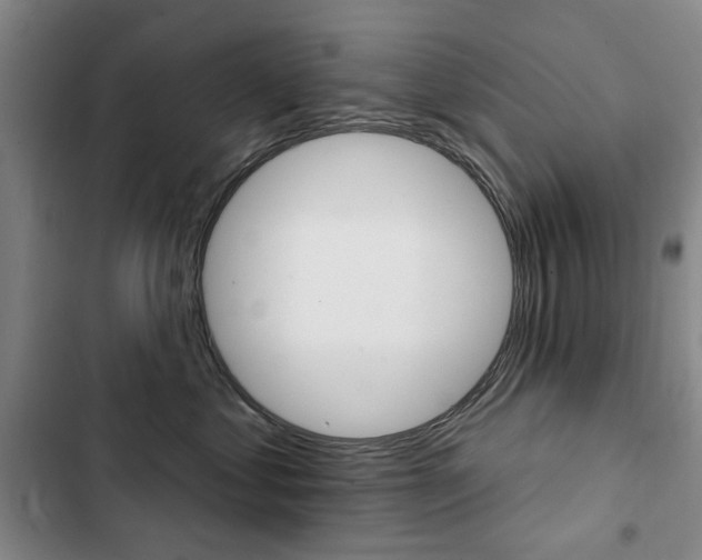 X0000103150621200808221130