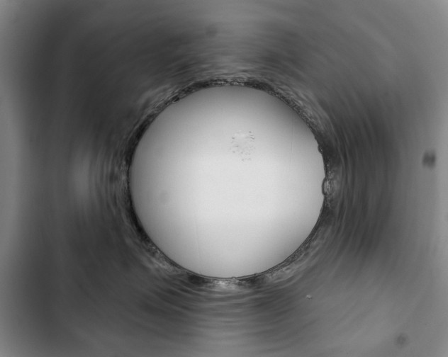 X0000103150623200808221130