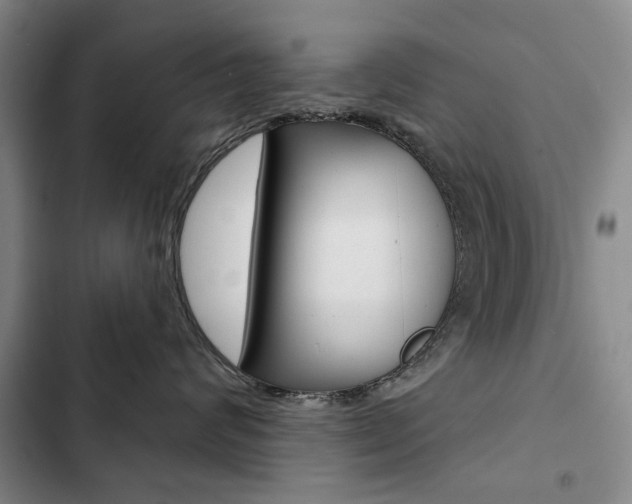 X0000103150624200808221130