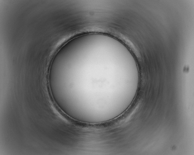 X0000103150625200808221129