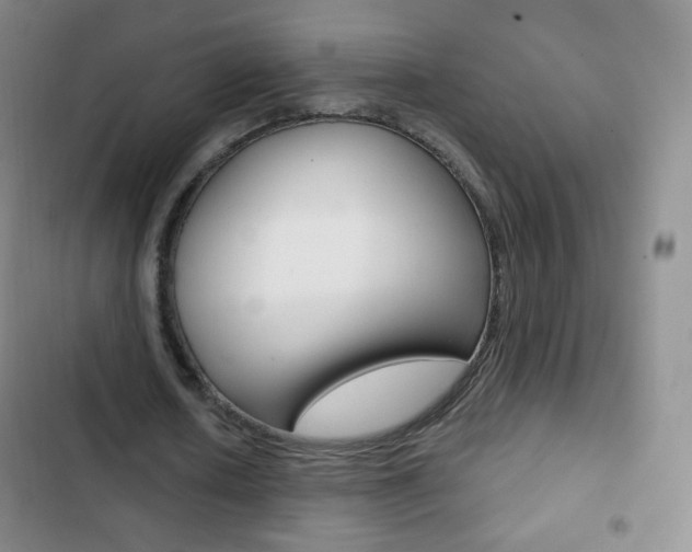 X0000103150626200808221129