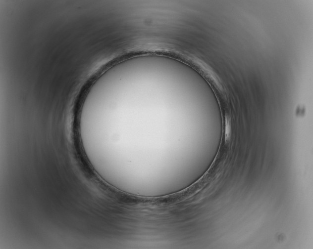 X0000103150627200808221129