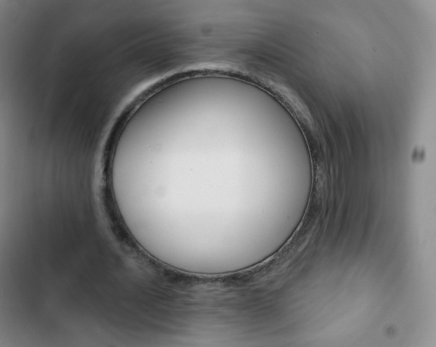 X0000103150628200808221129