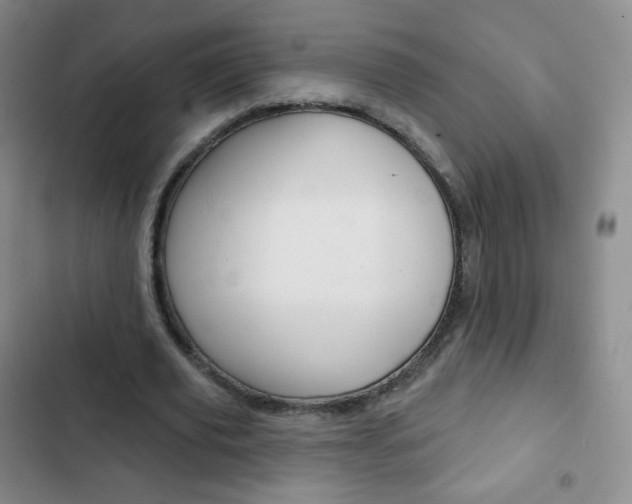 X0000103150629200808221129