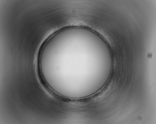 X0000103150630200808221129