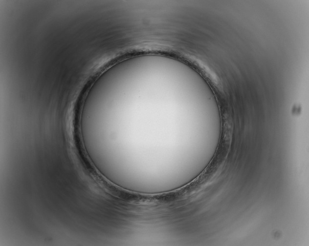 X0000103150631200808221129