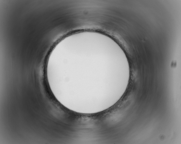 X0000103150632200808221129