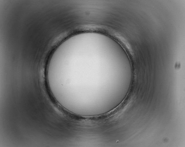X0000103150633200808221129