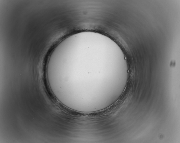 X0000103150635200808221129
