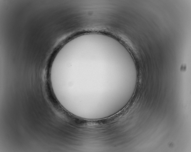 X0000103150636200808221129