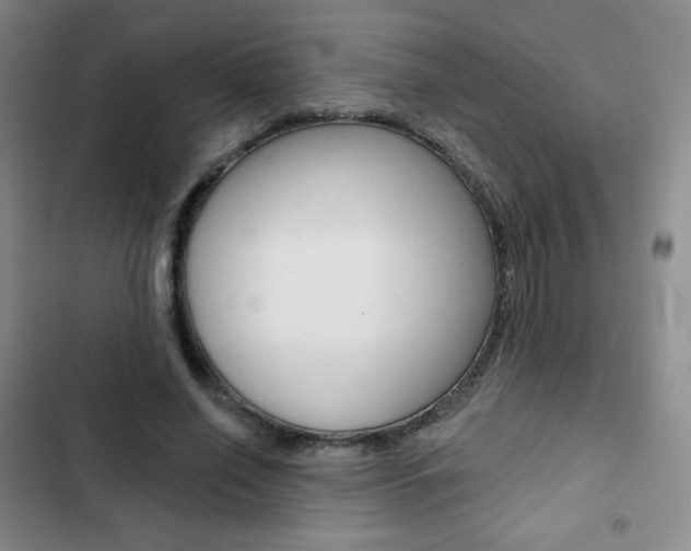 X0000103150638200808221130
